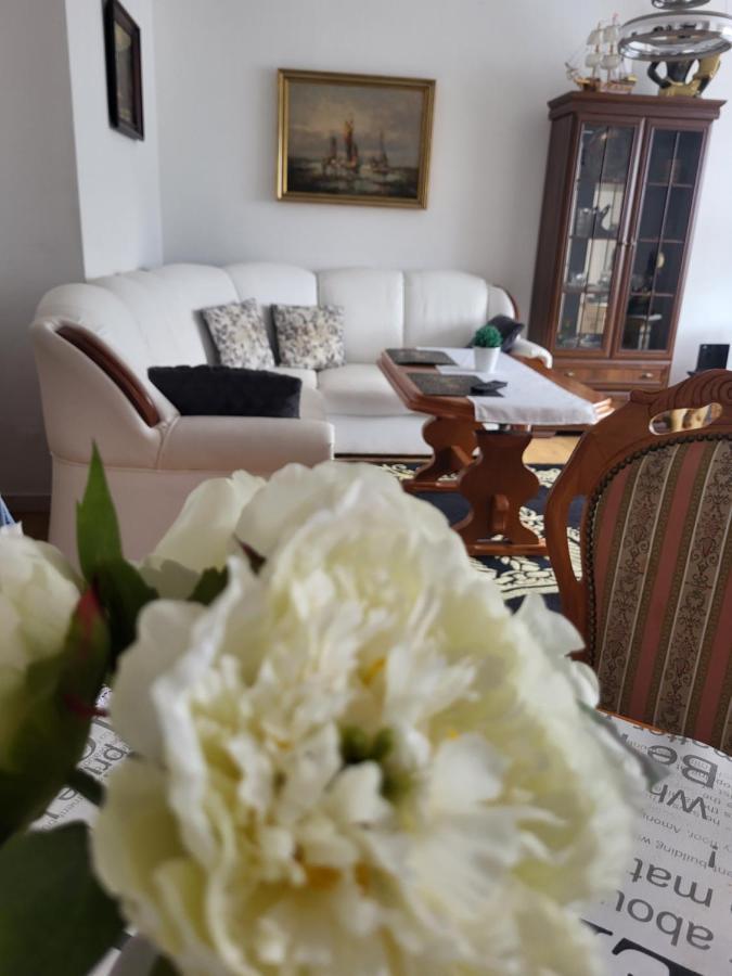 Apartament Paradise เมียนซิดดรอแย ภายนอก รูปภาพ
